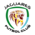 Logo Jaguares